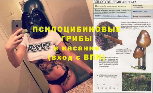 прущая мука Верея