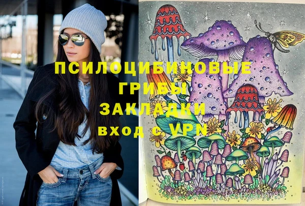 бошки Волосово