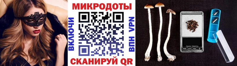 Купить закладки  Новая Ляля  Псилоцибиновые грибы ЛСД 